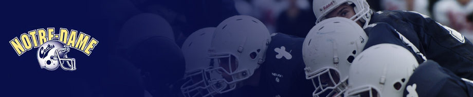 banner.jpg